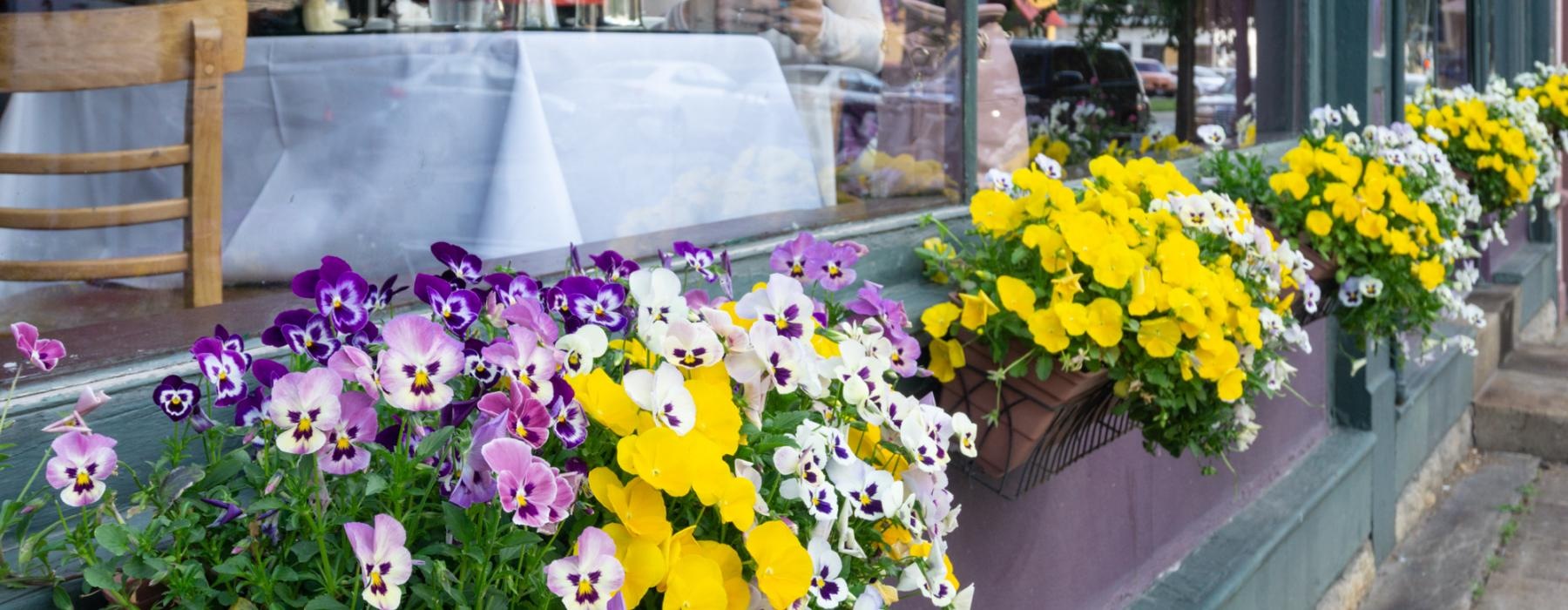 a group of flowers outside a restaurant